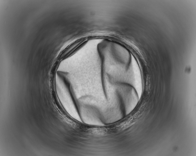X0000098201404200805151217