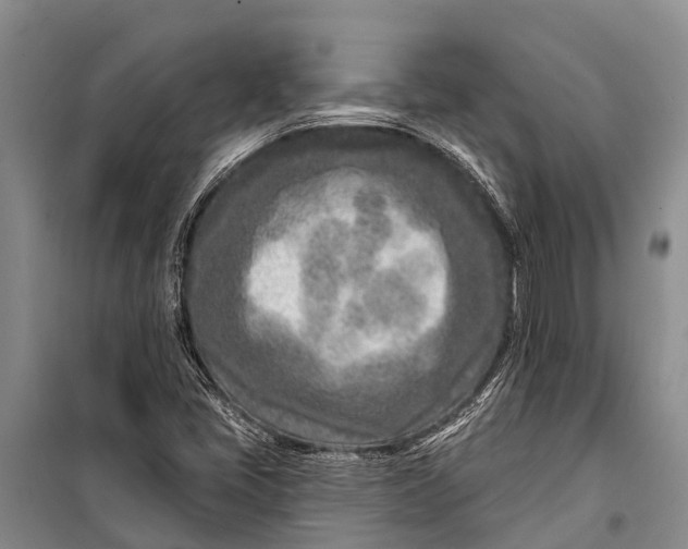 X0000098201405200805151217