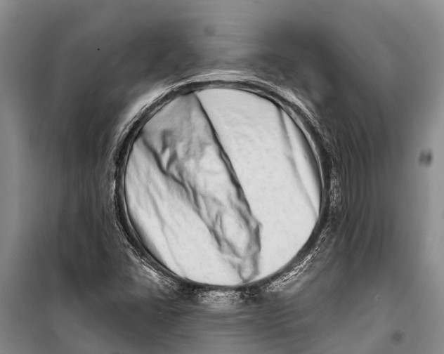X0000098201406200805151217