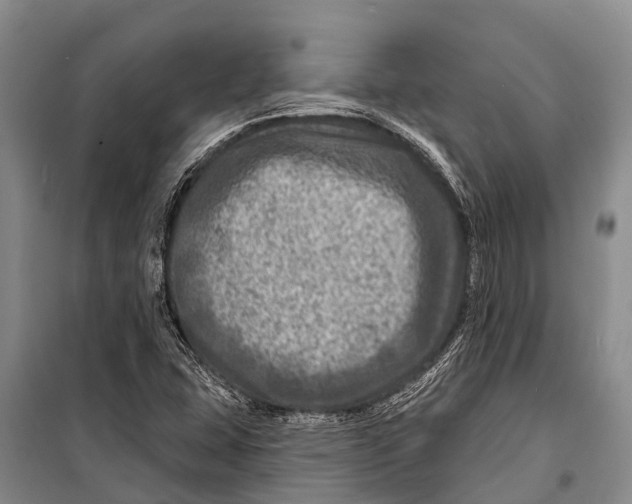 X0000098201407200805151217