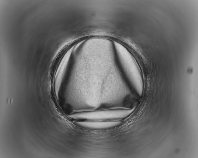 X0000098201408200805151217