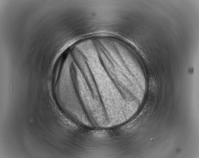 X0000098201410200805151217