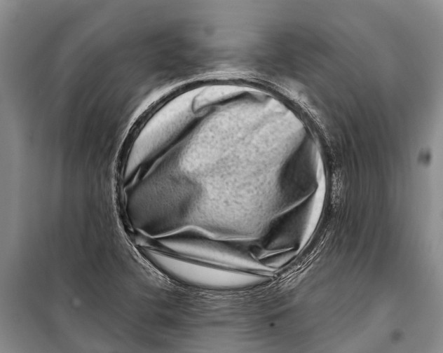X0000098201412200805151217