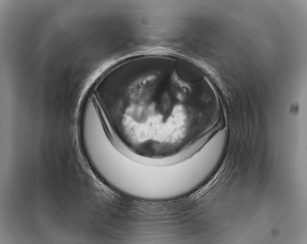 X0000098201414200805151217