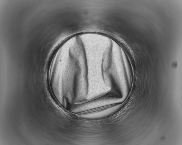 X0000098201416200805151217