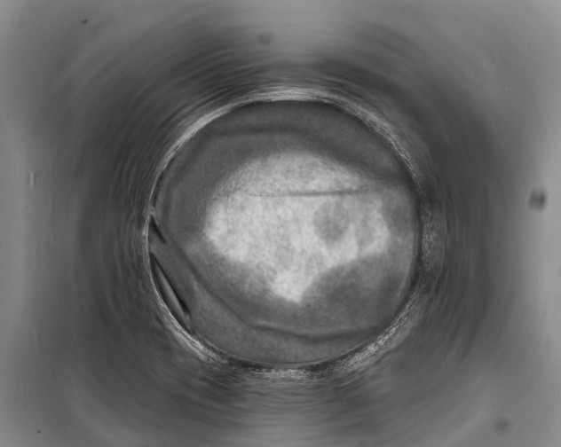 X0000098201417200805151218