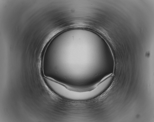 X0000098201418200805151218