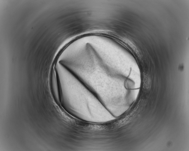X0000098201420200805151218