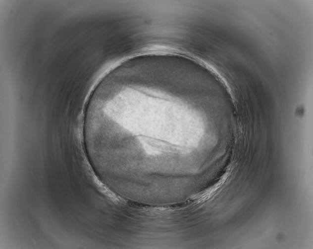 X0000098201421200805151218