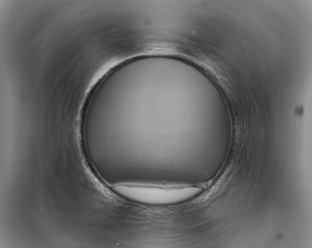 X0000098201422200805151218