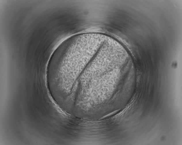 X0000098201423200805151218