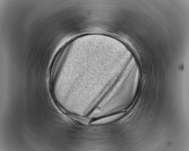X0000098201424200805151218