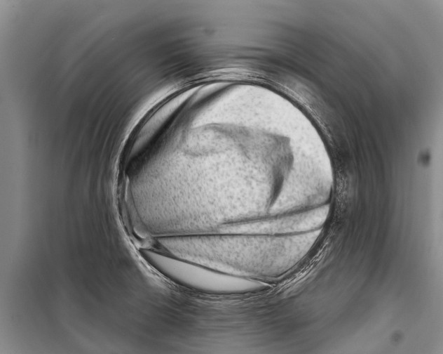 X0000098201426200805151218