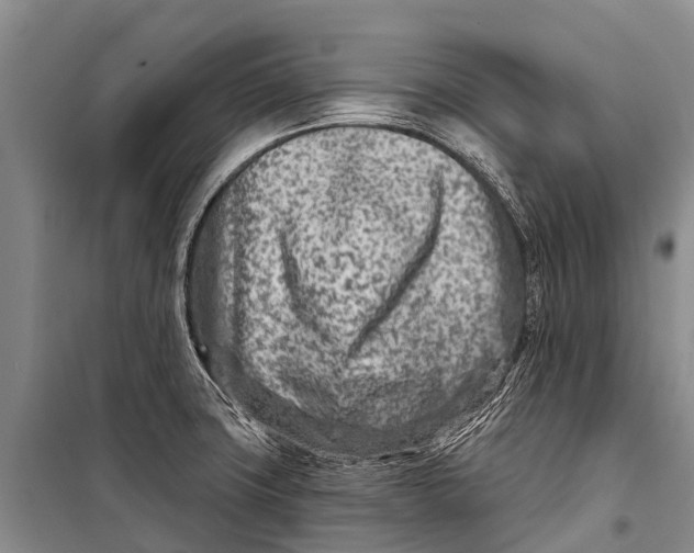 X0000098201427200805151218