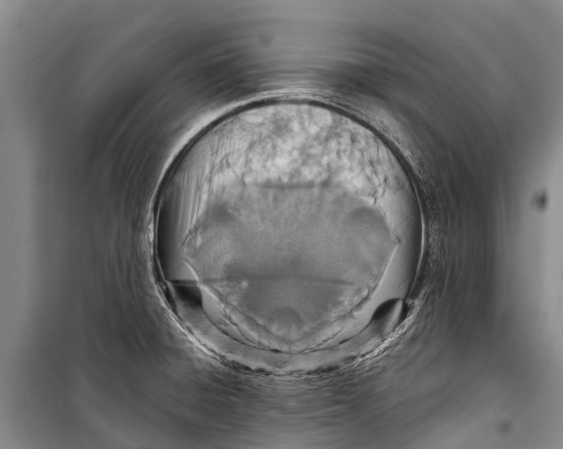 X0000098201428200805151218