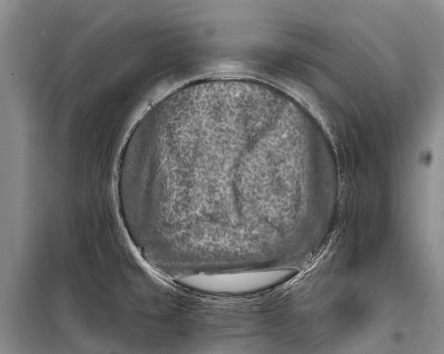 X0000098201429200805151218