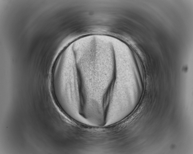 X0000098201432200805151218