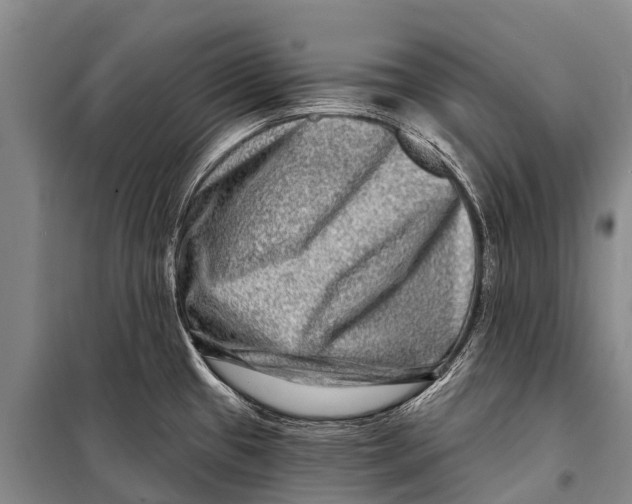 X0000098201433200805151218
