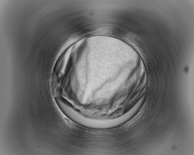 X0000098201434200805151218