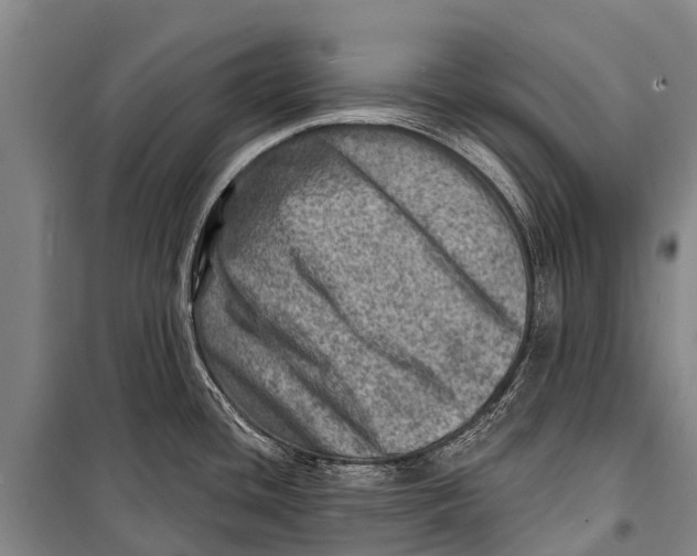 X0000098201436200805151218