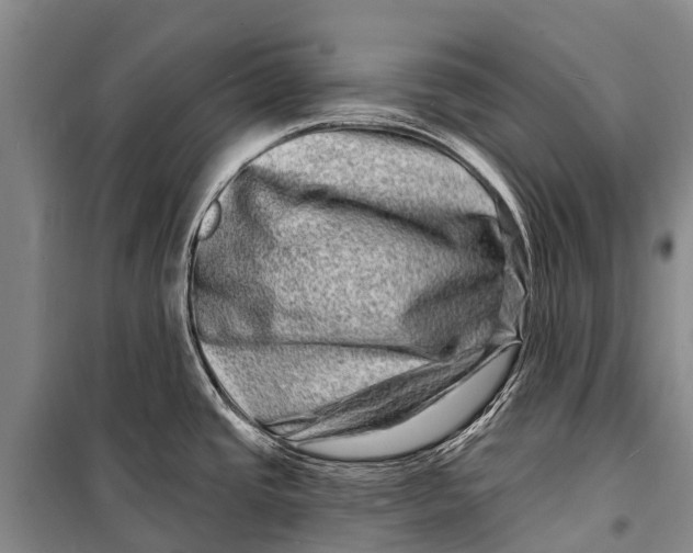 X0000098201437200805151218