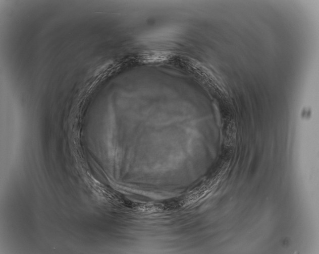 X0000098201441200805151217