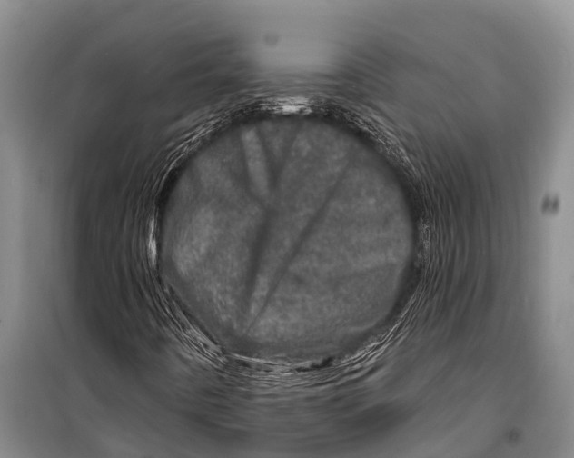 X0000098201442200805151217