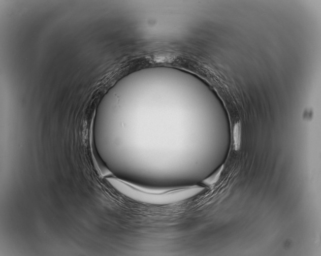 X0000098201443200805151217