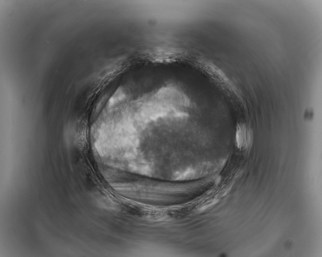 X0000098201444200805151217