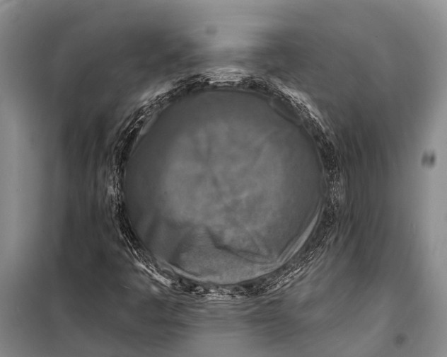 X0000098201445200805151217