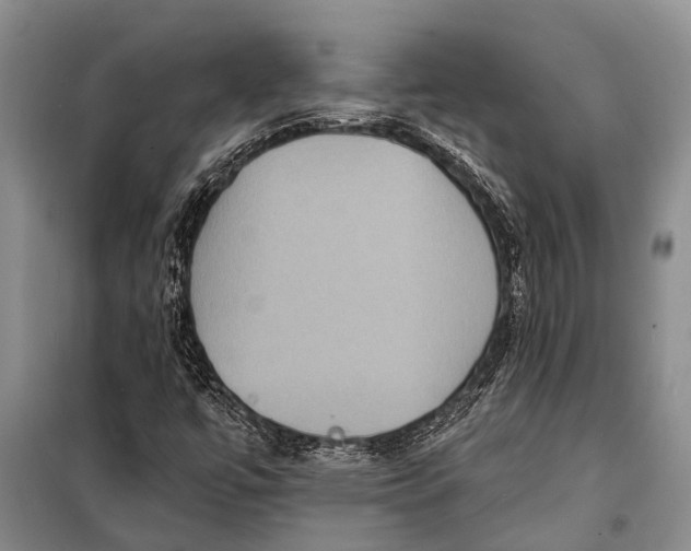 X0000098201447200805151217