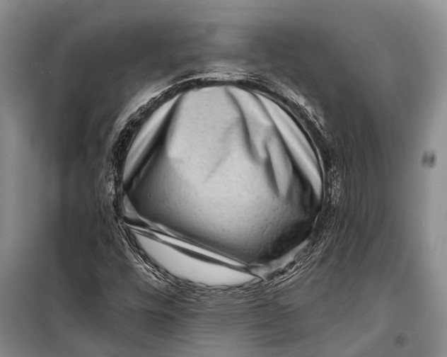 X0000098201448200805151217