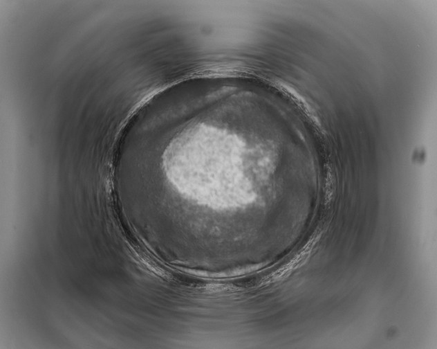 X0000098201449200805151217