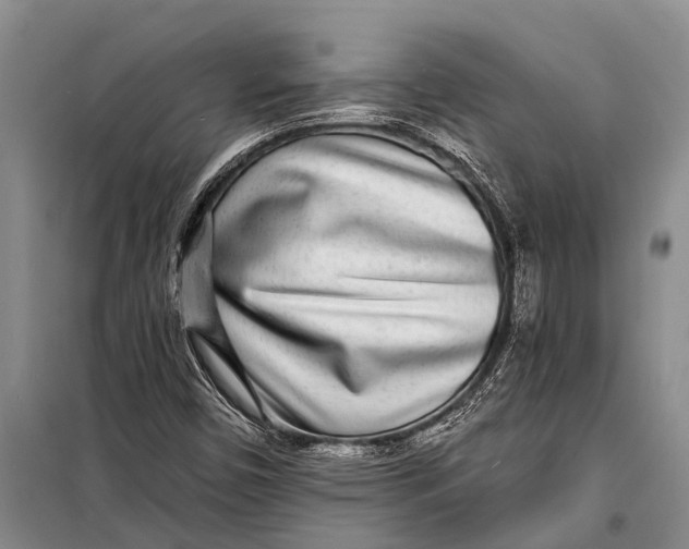 X0000098201450200805151217