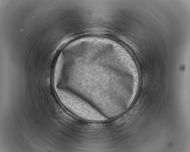 X0000098201451200805151217