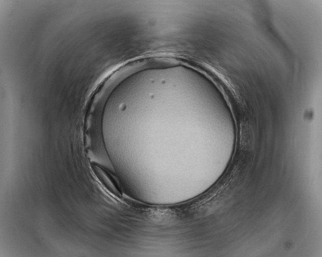 X0000098201452200805151217