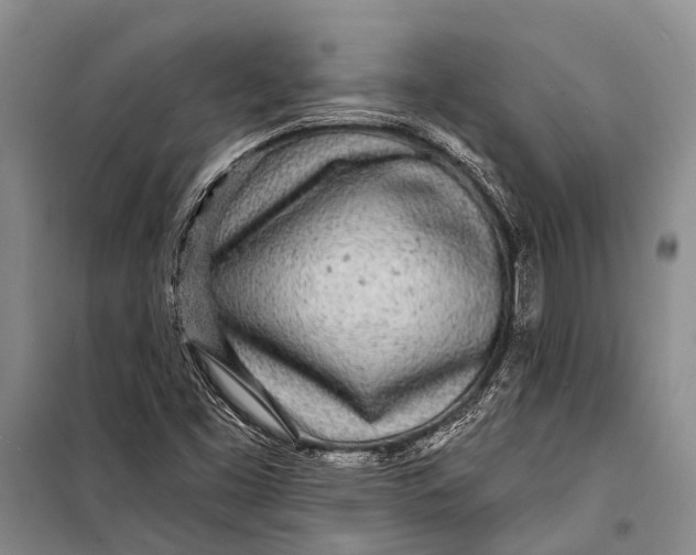 X0000098201453200805151217