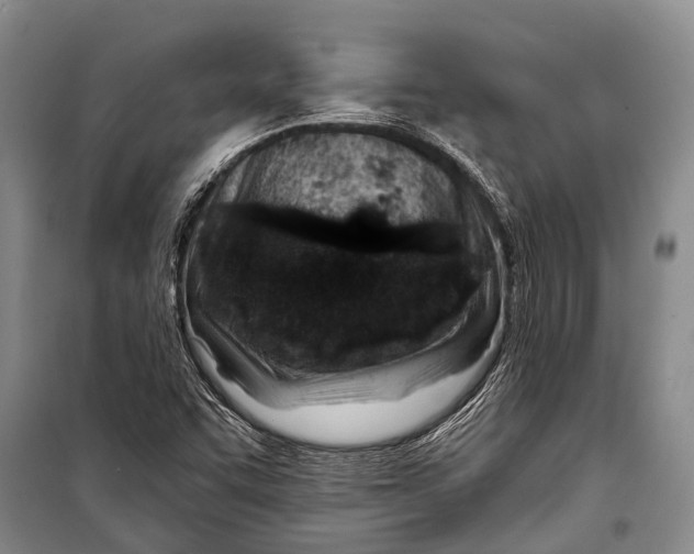 X0000098201455200805151217