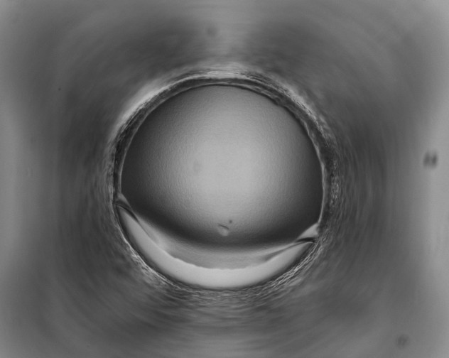 X0000098201456200805151217