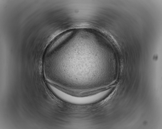 X0000098201457200805151217