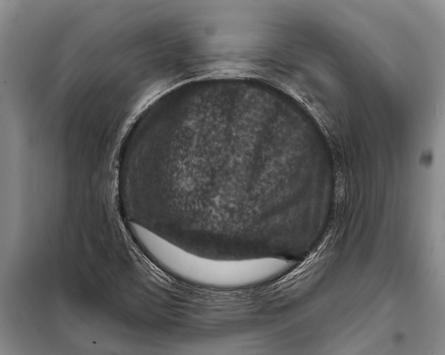 X0000098201459200805151217
