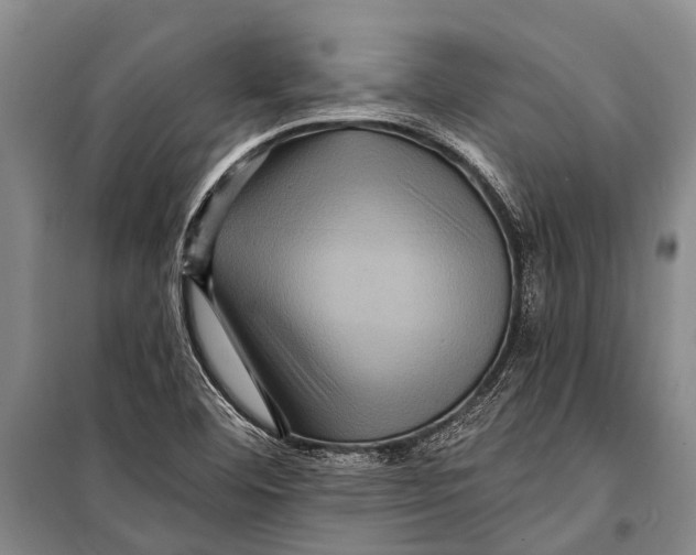 X0000098201460200805151217