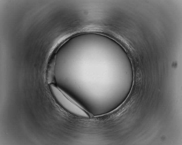 X0000098201461200805151217