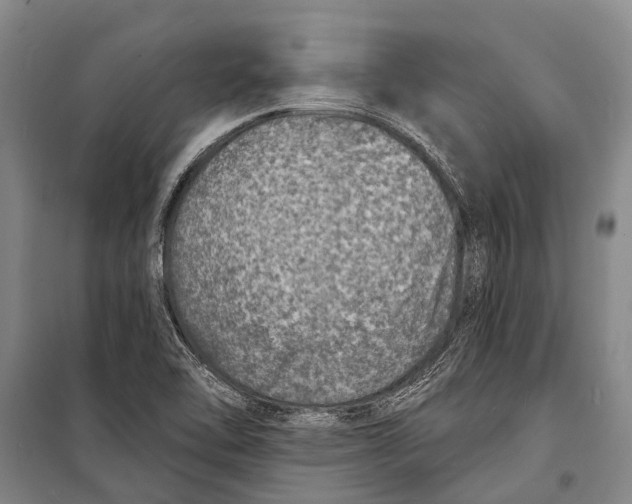 X0000098201462200805151217