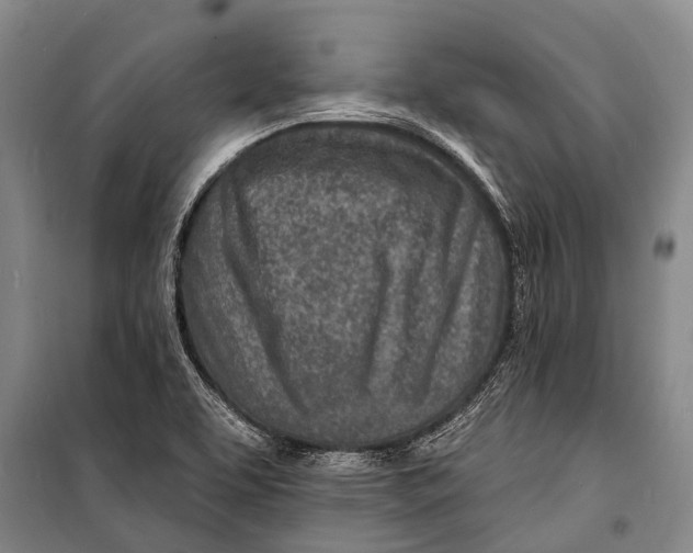 X0000098201463200805151217