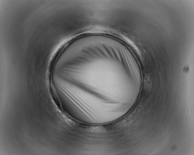 X0000098201464200805151217
