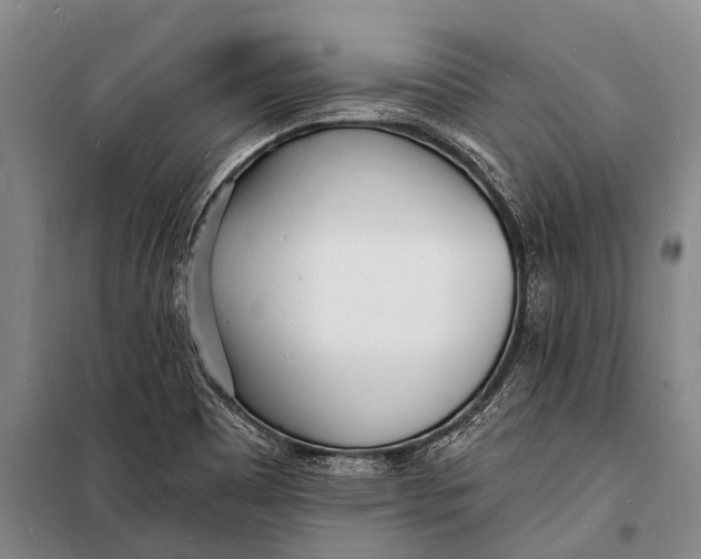 X0000098201465200805151217