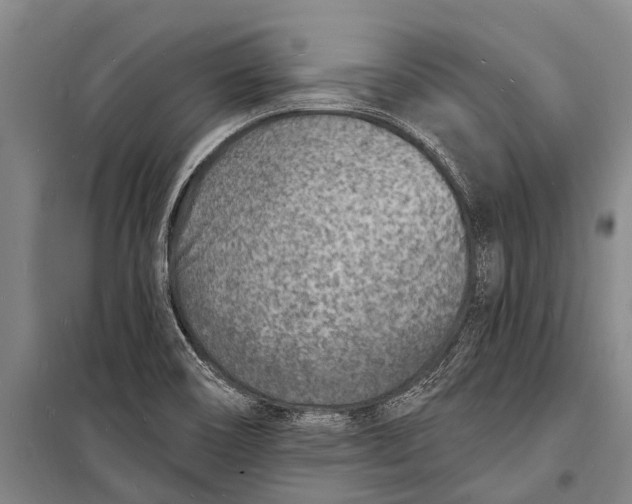 X0000098201466200805151217