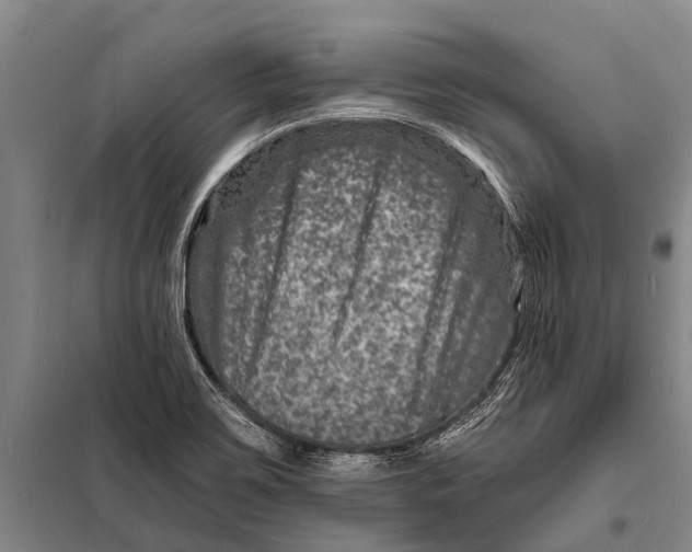 X0000098201467200805151217
