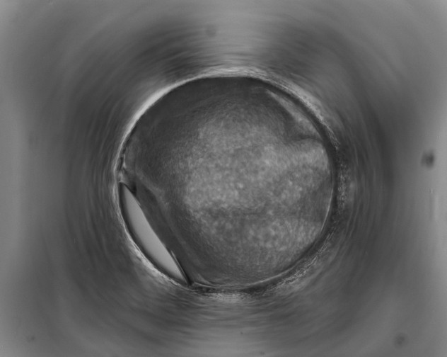 X0000098201468200805151217